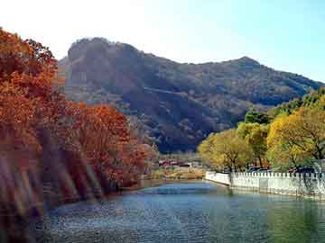 管家婆黑白马报图库，治疗慢性荨麻疹